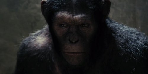 RISE OF THE PLANET OF THE APES movie
